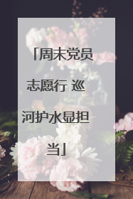 周末党员志愿行 巡河护水显担当