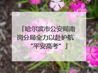 哈尔滨市公安局南岗分局全力以赴护航“平安高考”