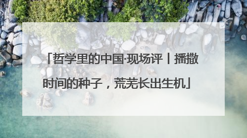 哲学里的中国·现场评丨播撒时间的种子，荒芜长出生机