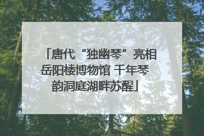 唐代“独幽琴”亮相岳阳楼博物馆 千年琴韵洞庭湖畔苏醒
