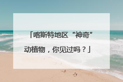喀斯特地区“神奇”动植物，你见过吗？