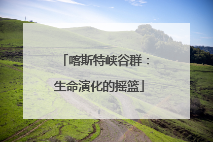 喀斯特峡谷群：生命演化的摇篮