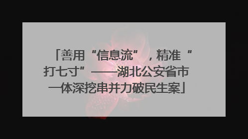 善用“信息流”，精准“打七寸”——湖北公安省市一体深挖串并力破民生案