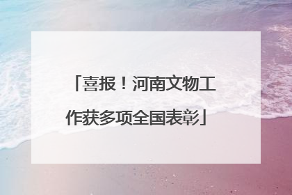喜报！河南文物工作获多项全国表彰