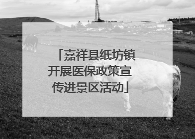 嘉祥县纸坊镇开展医保政策宣传进景区活动