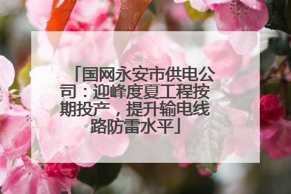 国网永安市供电公司：迎峰度夏工程按期投产，提升输电线路防雷水平