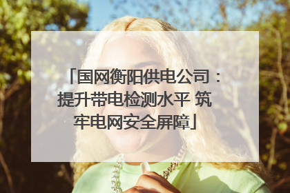 国网衡阳供电公司：提升带电检测水平 筑牢电网安全屏障