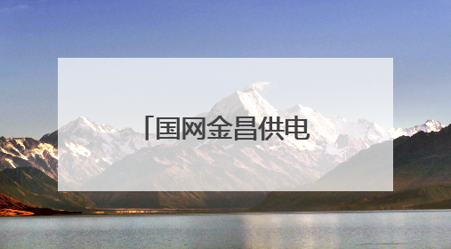 国网金昌供电公司服务能源项目“加速跑”