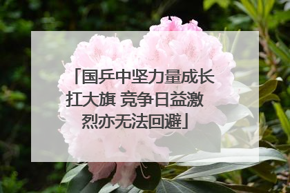 国乒中坚力量成长扛大旗 竞争日益激烈亦无法回避