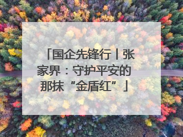 国企先锋行丨张家界：守护平安的那抹“金盾红”