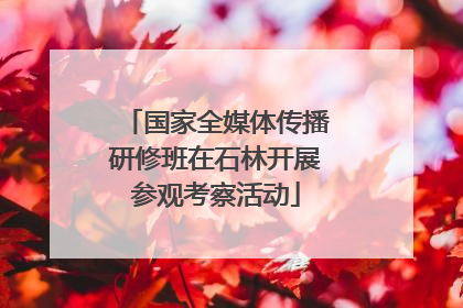 国家全媒体传播研修班在石林开展参观考察活动