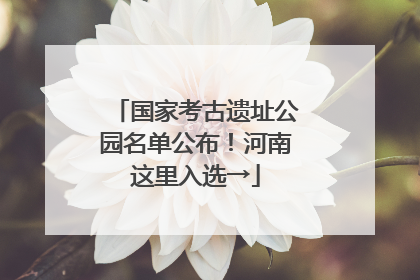 国家考古遗址公园名单公布！河南这里入选→