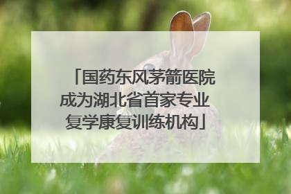 国药东风茅箭医院成为湖北省首家专业复学康复训练机构
