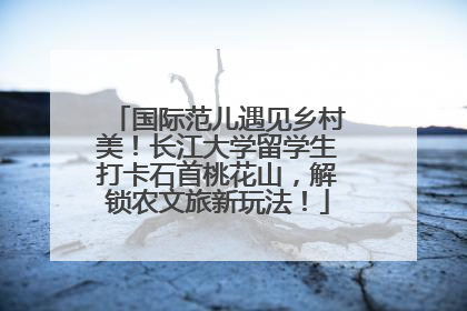 国际范儿遇见乡村美！长江大学留学生打卡石首桃花山，解锁农文旅新玩法！