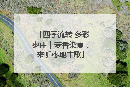 四季流转 多彩枣庄｜麦香染夏，来听枣地丰歌