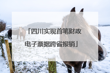 四川实现首笔财政电子票据跨省报销