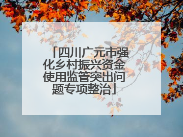 四川广元市强化乡村振兴资金使用监管突出问题专项整治