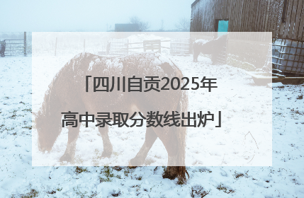 四川自贡2025年高中录取分数线出炉
