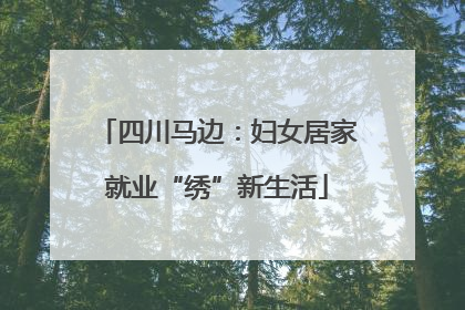 四川马边：妇女居家就业“绣”新生活
