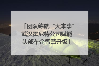 团队练就“大本事” 武汉霍尼特公司赋能头部车企智慧升级