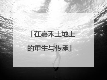 在嘉禾土地上的重生与传承