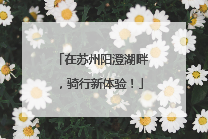 在苏州阳澄湖畔，骑行新体验！