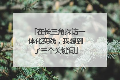 在长三角探访一体化实践，我想到了三个关键词