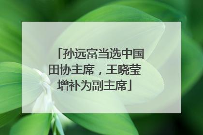 孙远富当选中国田协主席，王晓莹增补为副主席