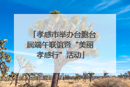 孝感市举办台胞台属端午联谊暨“美丽孝感行”活动