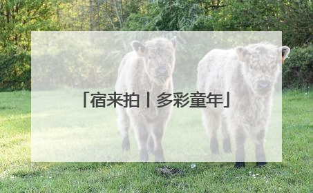宿来拍丨多彩童年