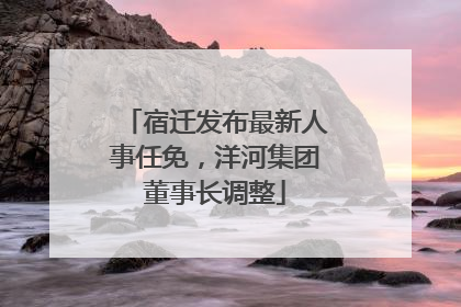 宿迁发布最新人事任免，洋河集团董事长调整