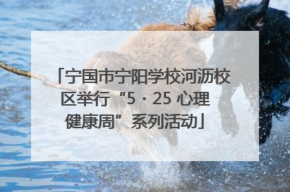 宁国市宁阳学校河沥校区举行“5・25 心理健康周”系列活动