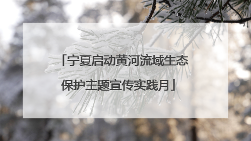 宁夏启动黄河流域生态保护主题宣传实践月
