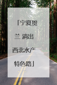 宁夏贺兰 淌出西北水产特色路