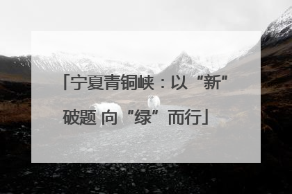 宁夏青铜峡：以“新”破题 向“绿”而行