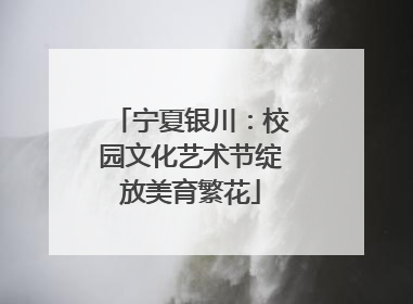 宁夏银川：校园文化艺术节绽放美育繁花