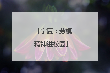 宁夏：劳模精神进校园