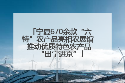 宁夏670余款“六特”农产品亮相农展馆 推动优质特色农产品“出宁进京”