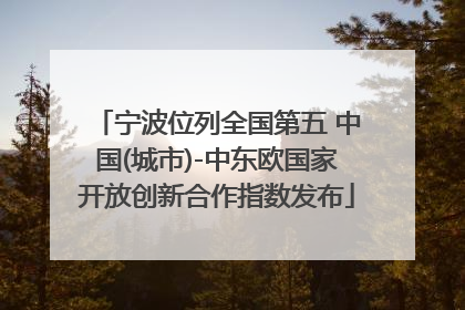 宁波位列全国第五 中国(城市)-中东欧国家开放创新合作指数发布