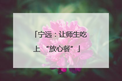 宁远：让师生吃上 “放心餐”