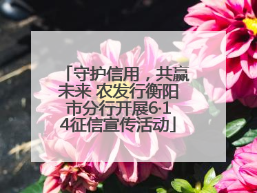 守护信用，共赢未来 农发行衡阳市分行开展6·14征信宣传活动