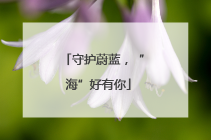 守护蔚蓝，“海”好有你