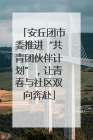 安丘团市委推进“共青团伙伴计划”，让青春与社区双向奔赴