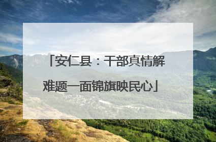 安仁县：干部真情解难题一面锦旗映民心