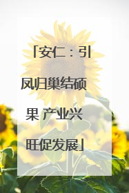 安仁：引凤归巢结硕果 产业兴旺促发展