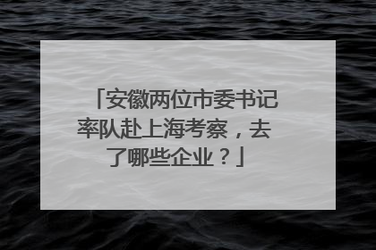 安徽两位市委书记率队赴上海考察，去了哪些企业？
