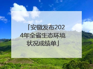 安徽发布2024年全省生态环境状况成绩单