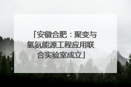 安徽合肥：聚变与氢氨能源工程应用联合实验室成立