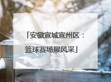安徽宣城宣州区：篮球赛场展风采