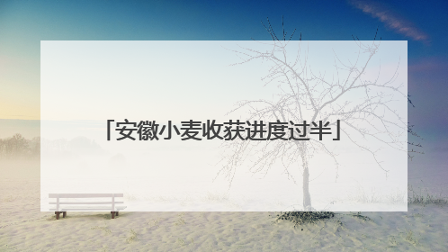 安徽小麦收获进度过半